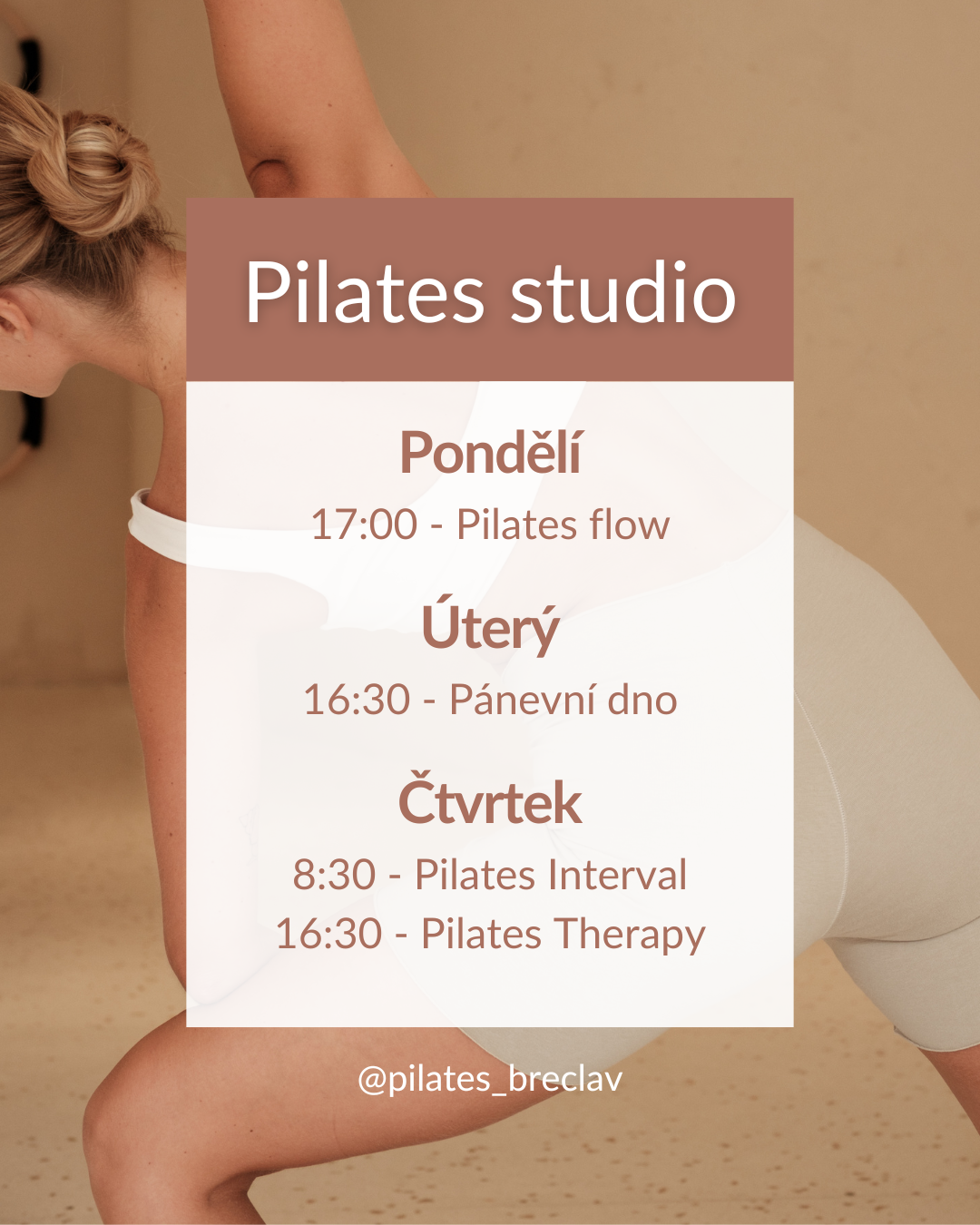 DSC_7458 kopie (kopie) PortDeBras